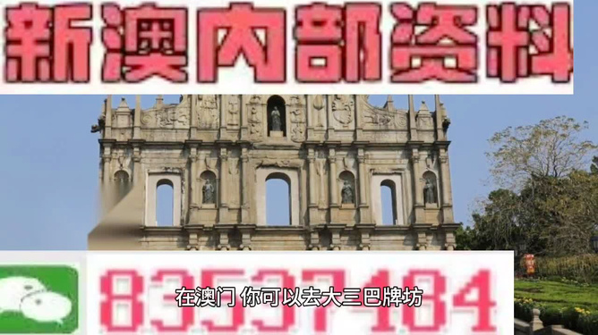 澳门正版内部免费资料,精选解释解析