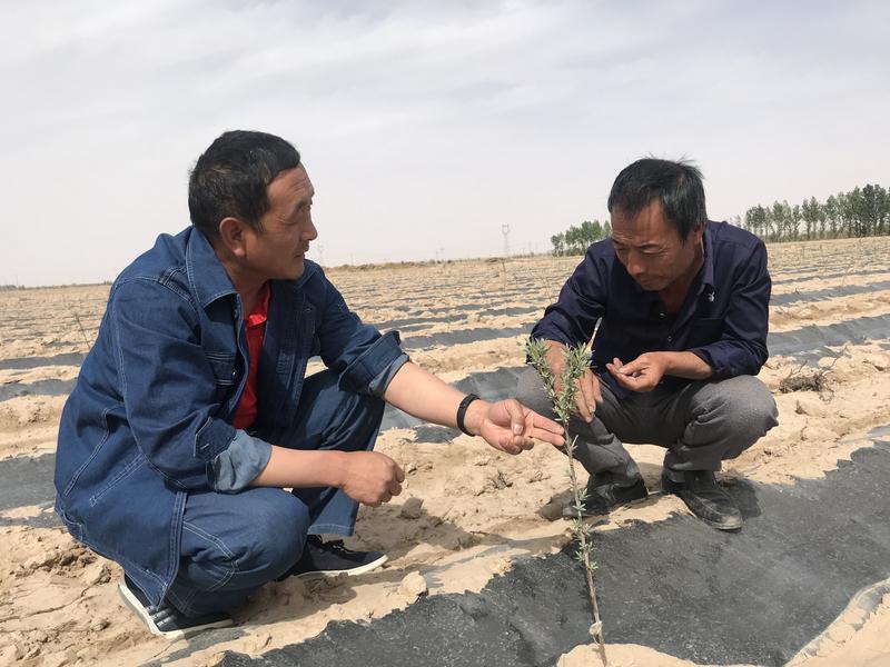 ;全面贯彻解释落实
