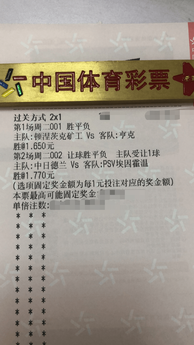 2024澳门王中王100%期期中,精选解释解析