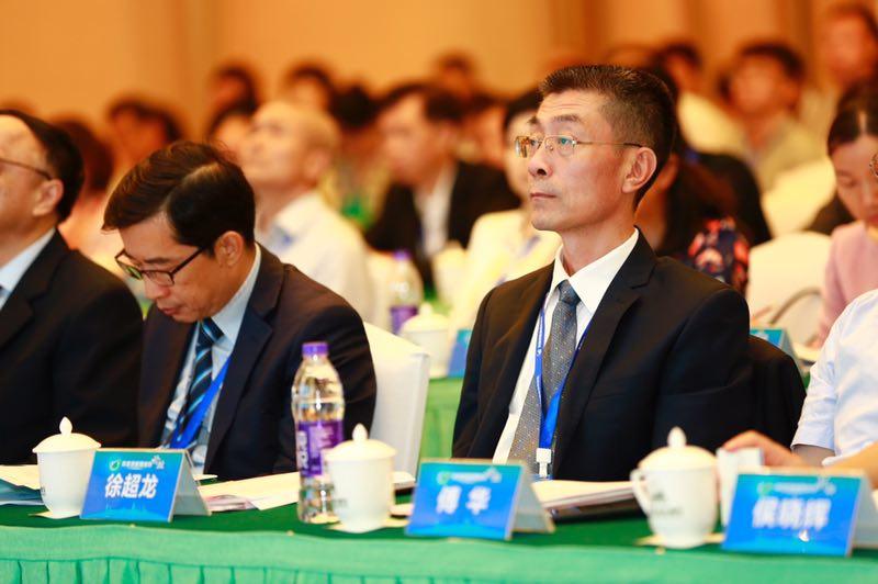2025新年澳门天天彩免费大全;词语释义解释落实