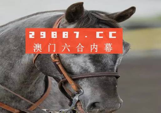 澳门精准一肖一码一一中;词语释义解释落实