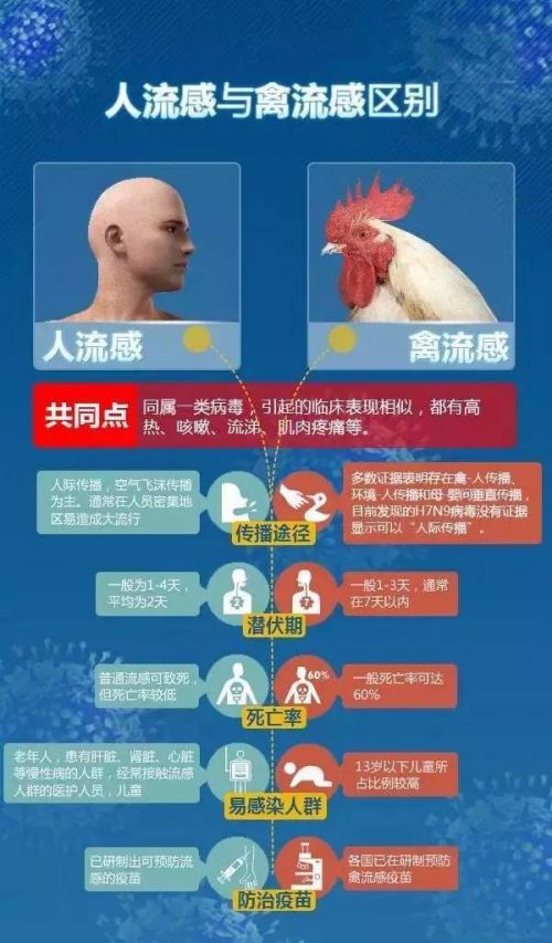 h7n92024年最新消息